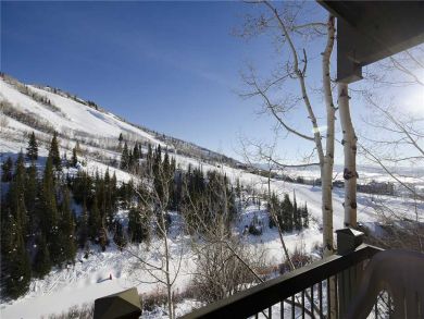 Steamboat Springs Home 927941