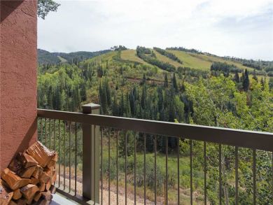 Steamboat Springs Home 927941