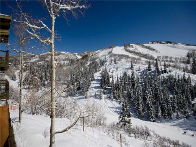 Steamboat Springs Home 927942 Steamboat Springs Home 927942