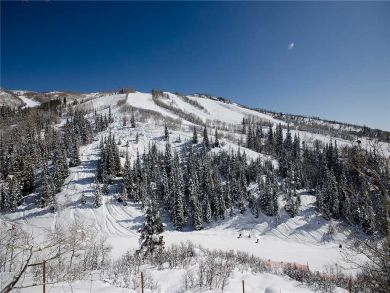 Steamboat Springs Home 927942 Steamboat Springs Home 927942