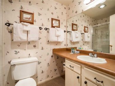 Steamboat Springs Home 927943