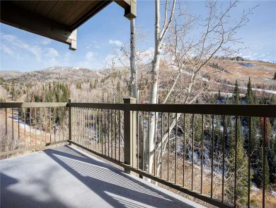 Steamboat Springs Home 927943