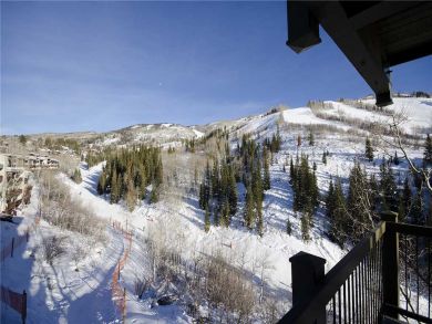 Steamboat Springs Home 927943