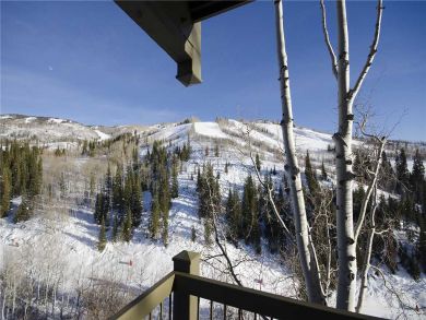 Steamboat Springs Home 927943
