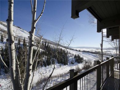 Steamboat Springs Home 927943