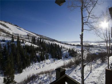 Steamboat Springs Home 927943