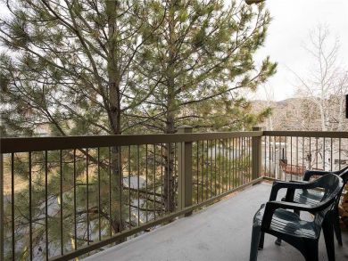 Steamboat Springs Home 927944