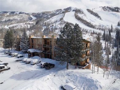 Steamboat Springs Home 927944