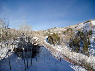 Steamboat Springs Home 927945