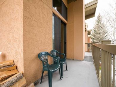 Steamboat Springs Home 927945