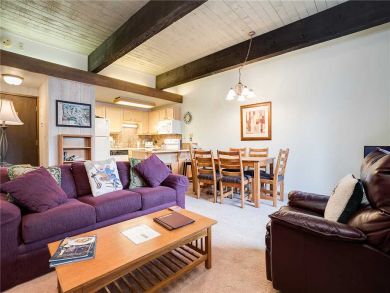 Steamboat Springs Home 927946