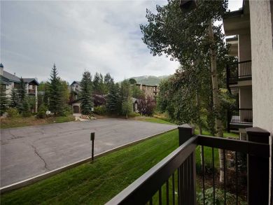 Steamboat Springs Home 927946