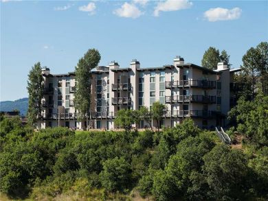 Steamboat Springs Home 927947