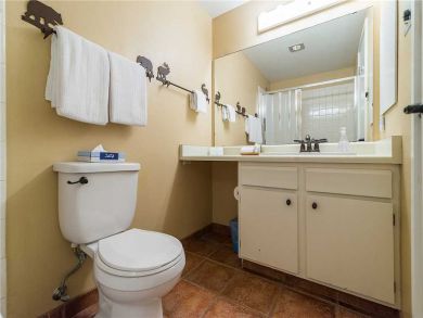 Steamboat Springs Home 927949