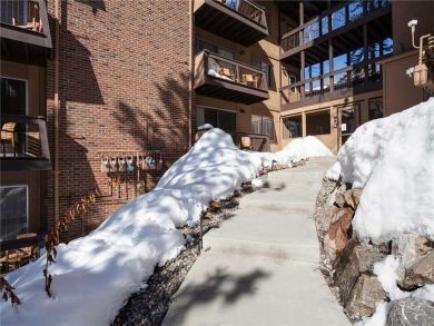 Steamboat Springs Home 927950