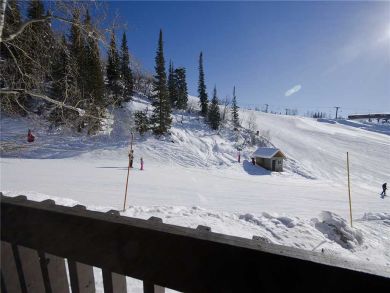 Steamboat Springs Home 927952 Steamboat Springs Home 927952