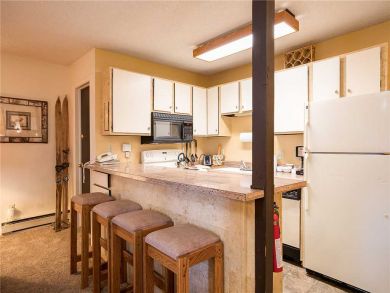 Steamboat Springs Home 927954