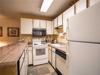 Steamboat Springs Home 927954