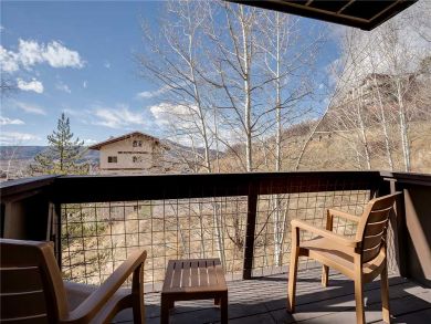 Steamboat Springs Home 927954