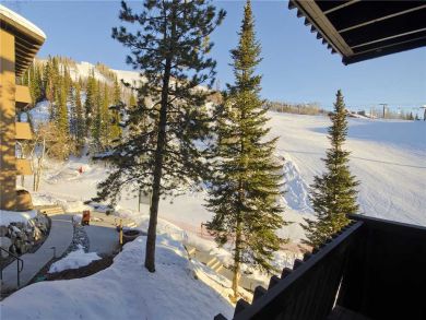 Steamboat Springs Home 927955