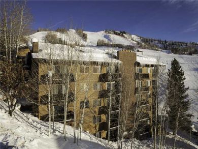Steamboat Springs Home 927955