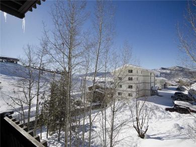 Steamboat Springs Home 927956 Steamboat Springs Home 927956