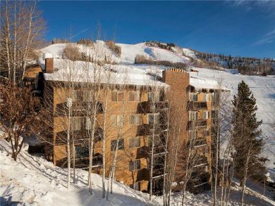 Steamboat Springs Home 927957