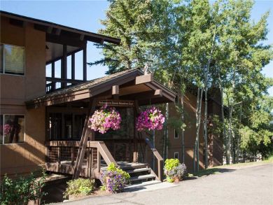 Steamboat Springs Home 927957