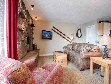 Steamboat Springs Home 927958