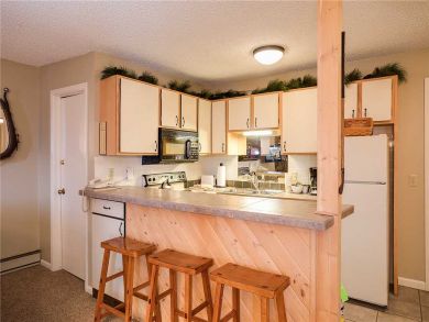 Steamboat Springs Home 927958
