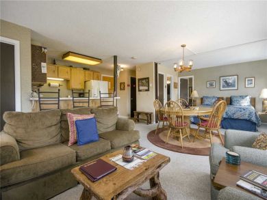 Steamboat Springs Home 927959