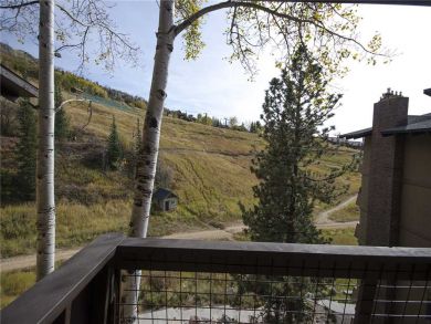 Steamboat Springs Home 927959