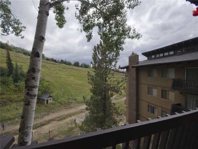 Steamboat Springs Home 927959
