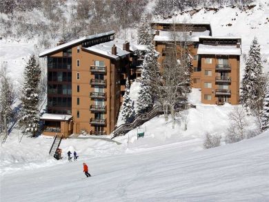 Steamboat Springs Home 927959