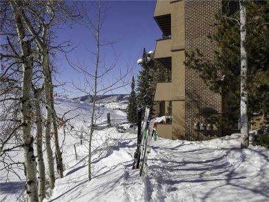 Steamboat Springs Home 927959