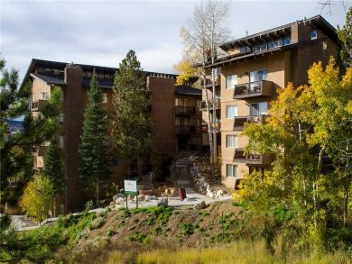 Steamboat Springs Home 927960 Steamboat Springs Home 927960