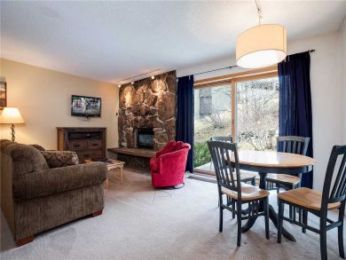 Steamboat Springs Home 927964