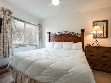 Steamboat Springs Home 927964