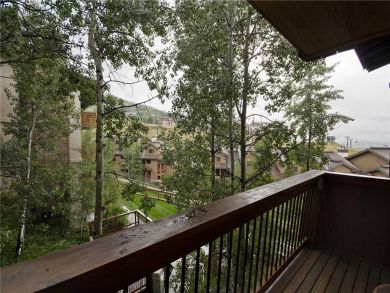 Steamboat Springs Home 927965