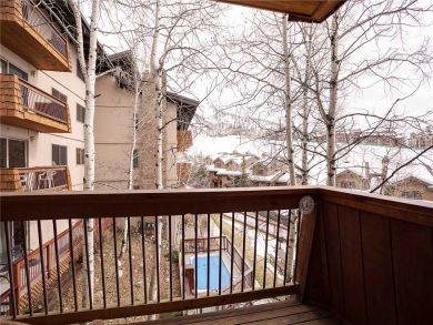 Steamboat Springs Home 927965