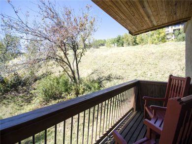 Steamboat Springs Home 927966