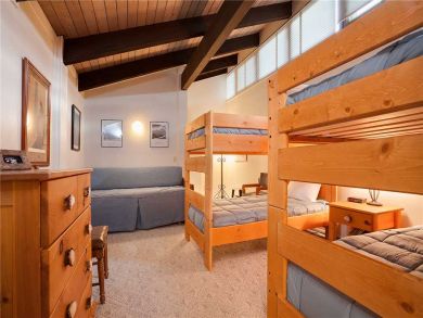 Steamboat Springs Home 927968