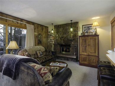 Steamboat Springs Home 927969