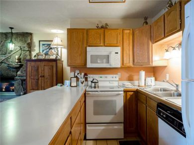 Steamboat Springs Home 927969