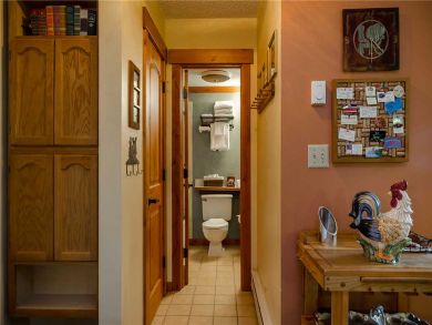 Steamboat Springs Home 927969
