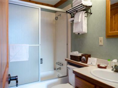 Steamboat Springs Home 927969