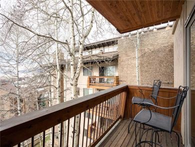 Steamboat Springs Home 927969