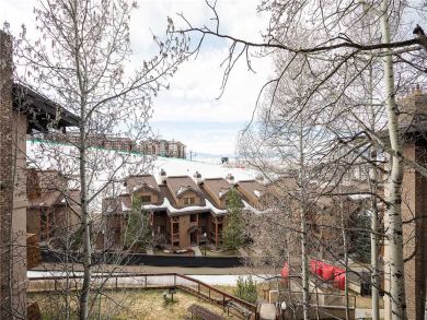 Steamboat Springs Home 927969