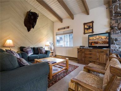 Steamboat Springs Home 927970 Steamboat Springs Home 927970