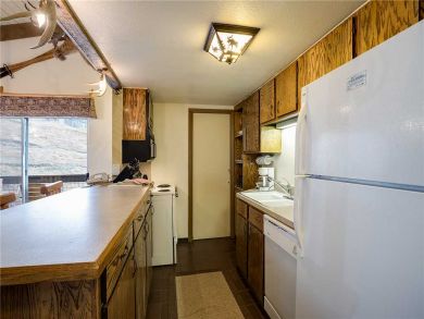 Steamboat Springs Home 927970 Steamboat Springs Home 927970
